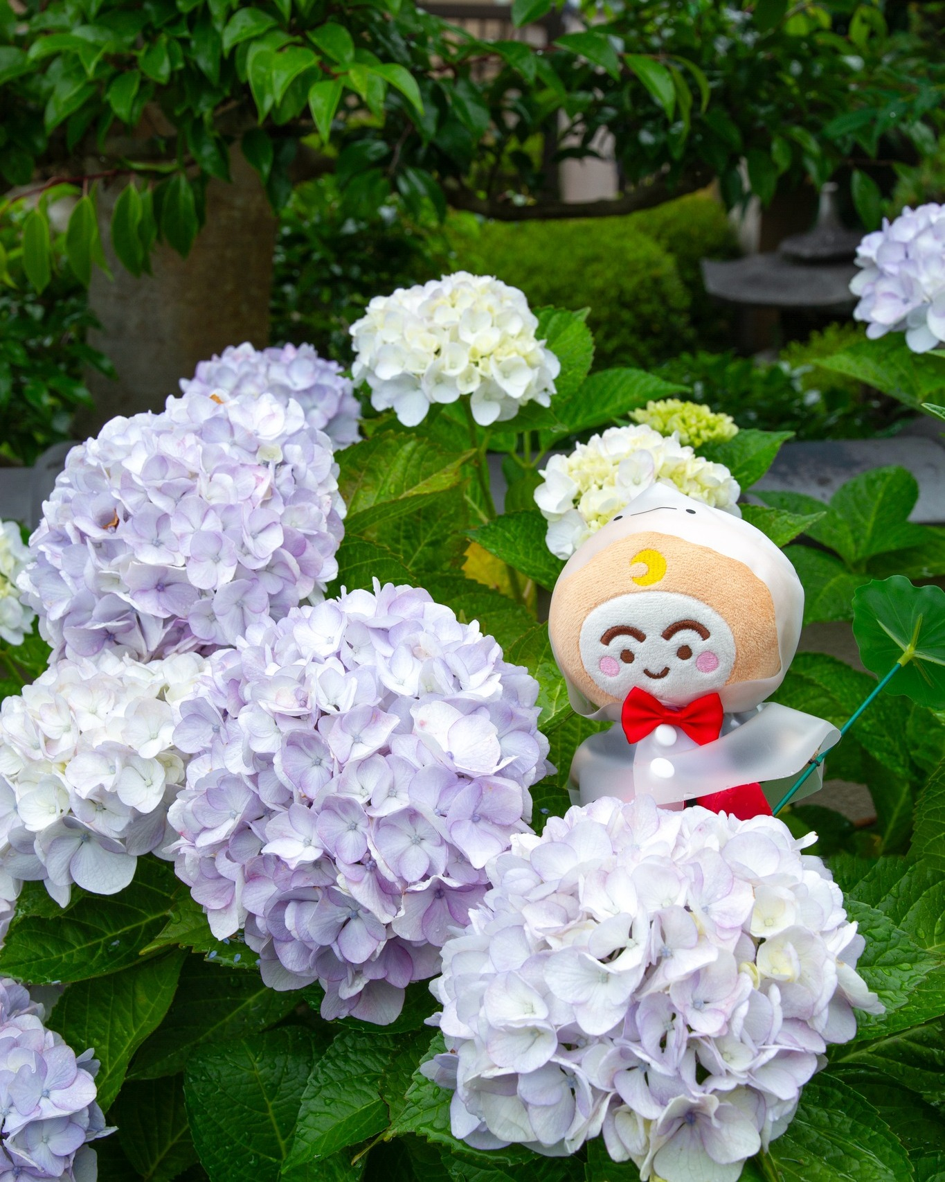 6月もありがとうございました💠｜青木松風庵 ザビエル公園店