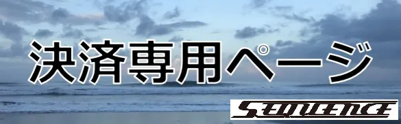 決済専用ページ