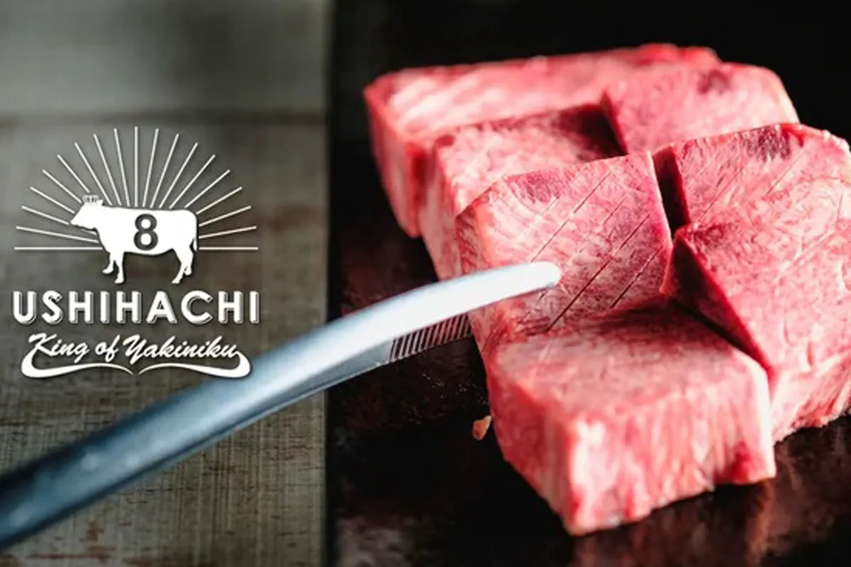 品川 駅 焼肉