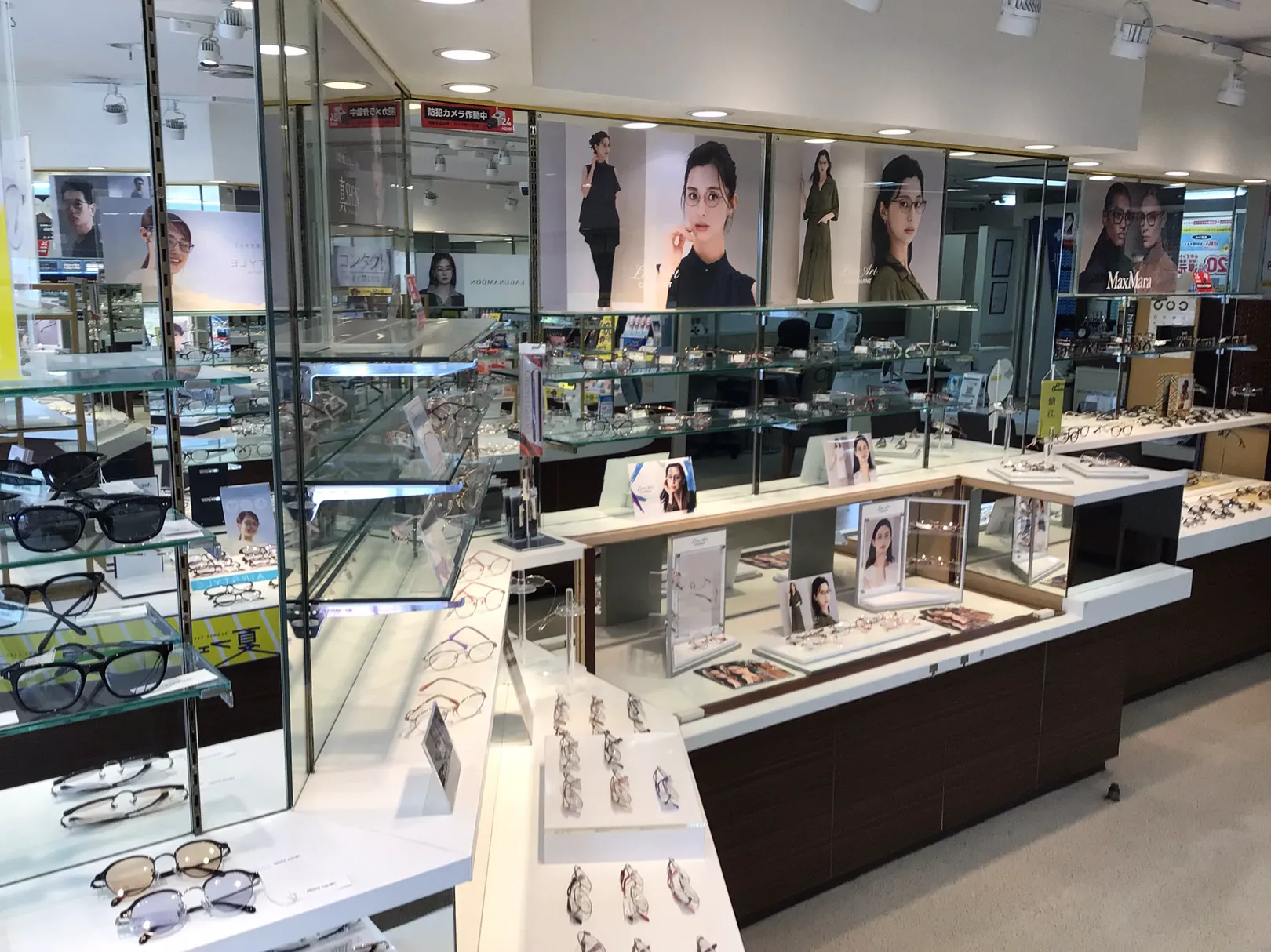 メガネスーパー鎌倉店のラインアート女性用の展示