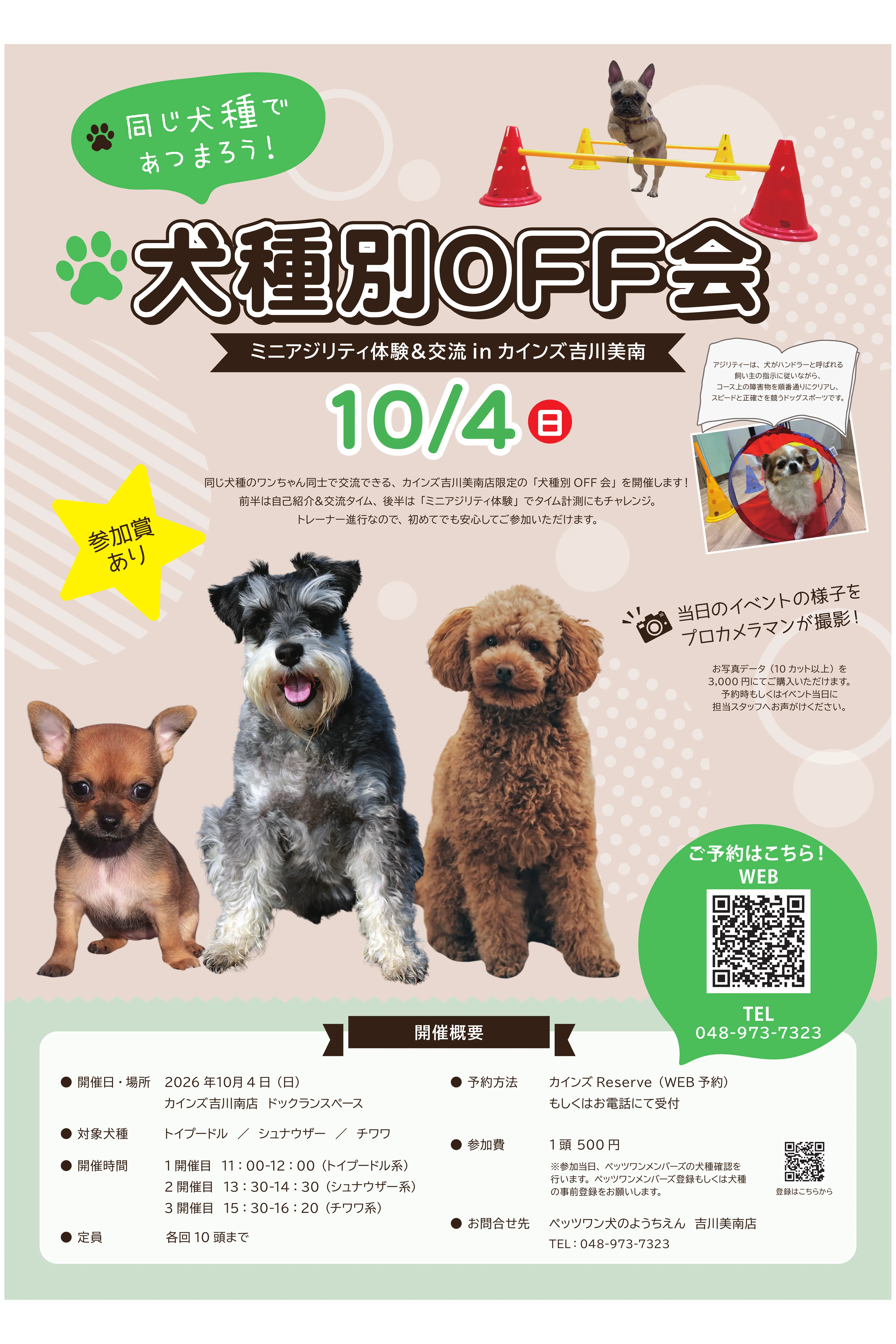 吉川美南 犬 オフ会 チワワ トイプードル シュナウザー