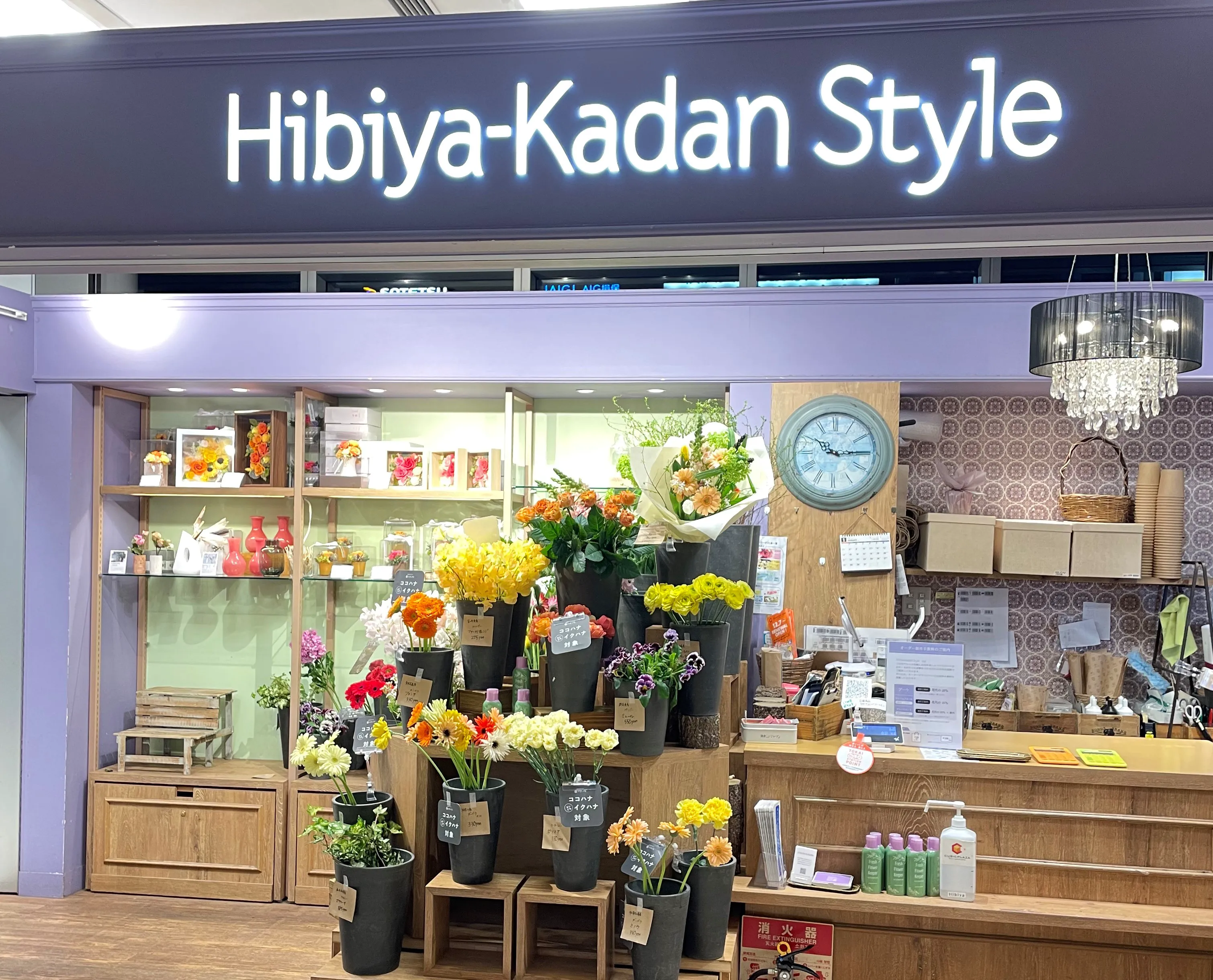 大人気のミモザ雑貨が今年も登場🐤 | Hibiya-Kadan Style キュービック