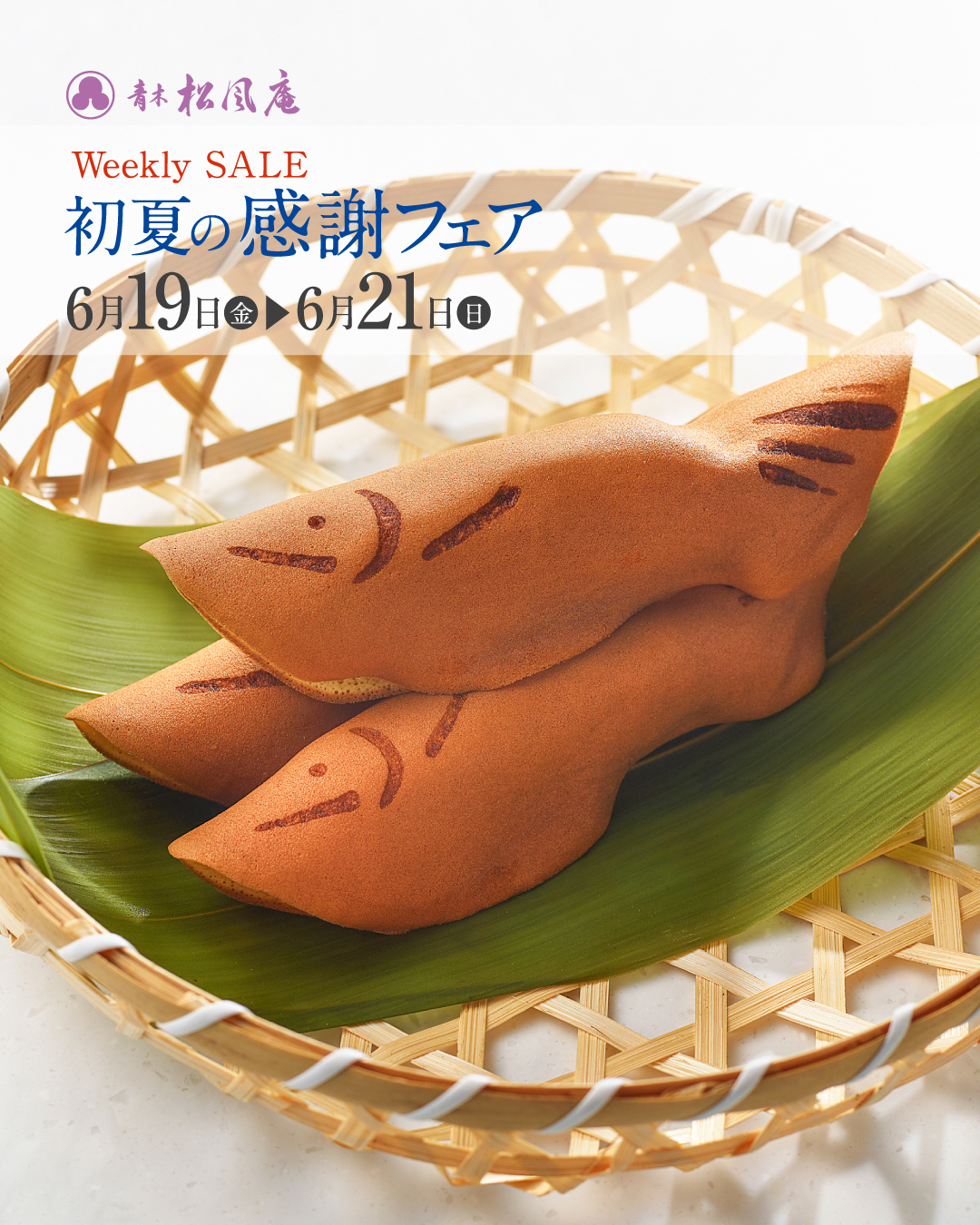 初夏の感謝フェア🎐｜青木松風庵 園部店